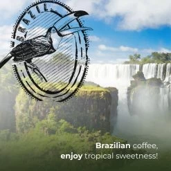 Soolong Enjoy Brazilie Nr4000 Koffiebonen Topacio Lungo - Speciality Koffie Arabica Medium Roast, Light Body Met Een Verfijnde Zacht Zoete Smaak. - Zak 250gram 17 Soolong Enjoy Brazilie Nr4000 Koffiebonen Topacio Lungo - Speciality Koffie Arabica Medium Roast, Light Body Met Een Verfijnde Zacht Zoete Smaak. - Zak 250gram -Koffie Kunst 1200x1200 204