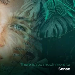 Soolong Sense Oost Timor Nr1000 Koffiebonen Smooth Lacau - Speciality Koffie Arabica Medium Roast Met Rijke Kruidige Smaak Met Heerlijke Ondertonen Van Karamel - Zak 250gram -Koffie Kunst 1200x1200 92