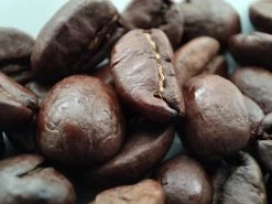 Voordeelpakket: Den Leeuw Lungo (80 Koffiecups) - Roast Koffiecups - Echte Hollandsche Koffie Van Den Leeuw In Nespresso Cups - Nespresso Compatibele Koffie Cups -Koffie Kunst 1200x900 2